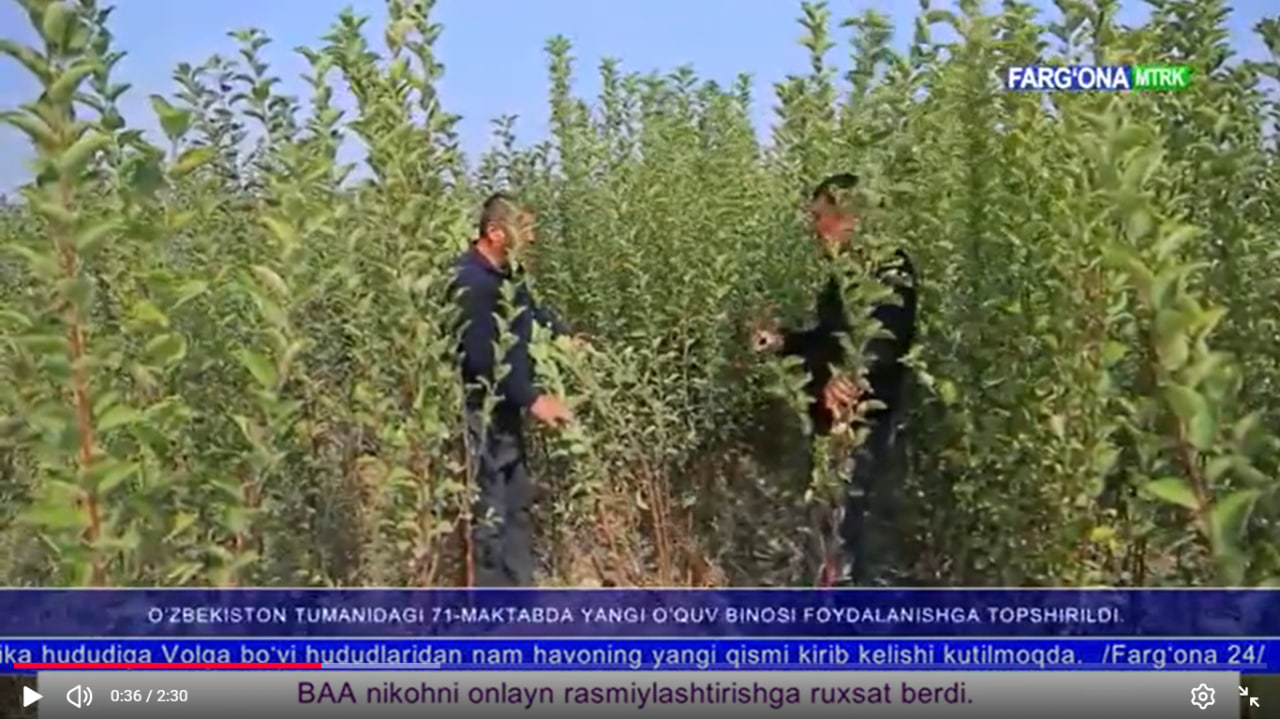 YASHIL MAKON UMUMMILLIY LOIHASI QUVA TUMANIDA