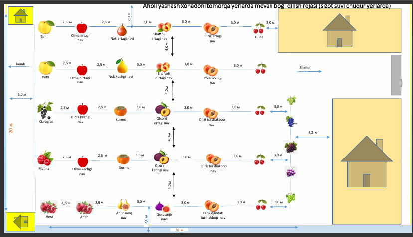 Aholi yashash xonadoni tomorqa yerlarida mevali bog' qilish rejasi (sizot suv chuqur yerlarda)